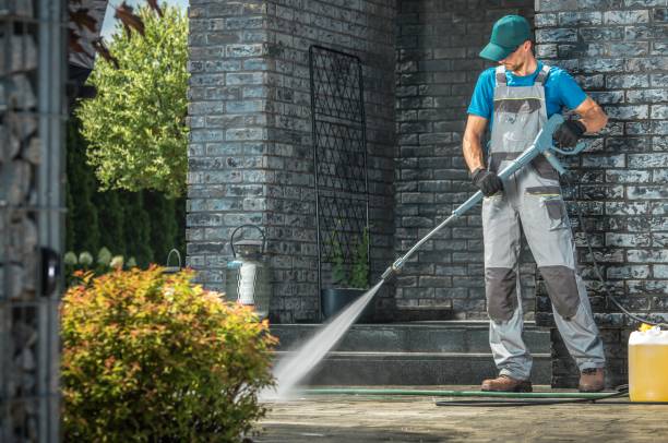 Best Soft Washing  in Zion, IL